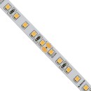 GloboStar® 70237 Ταινία LED SMD 2835 5m 8W/m 120LED/m 1208lm/m 120° DC 24V IP20 Ροζ - 5 Χρόνια Εγγύηση