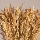 GloboStar® WHEAT 36550 Αποξηραμένο Φυτό Σίτος - Μπουκέτο Διακοσμητικών Κλαδιών Μπεζ Υ60cm