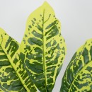 GloboStar® GREEN CROTON 78226 Τεχνητό Φυτό Κροτώνας Πράσινος - Μπουκέτο Διακοσμητικών Φυτών - Κλαδιών με Φύλλωμα Πράσινο Υ44cm