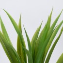 GloboStar® GREEN CORDYLINE 78230 Τεχνητό Φυτό Κορδιλύνη Πράσινη - Μπουκέτο Διακοσμητικών Φυτών - Κλαδιών με Φύλλωμα Πράσινο Υ33cm