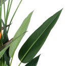 GloboStar® Artificial Garden STRELITZIA REGINAE 20033 Τεχνητό Διακοσμητικό Φυτό Στρελίτσια - Πουλί του Παραδείσου Υ180cm