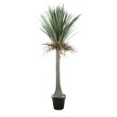 GloboStar® Artificial Garden BEAUCARNEA PALM TREE 20047 Τεχνητό Διακοσμητικό Φυτό Κυρτόφυλλος Μπουκαρνέα Υ200cm