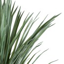 GloboStar® Artificial Garden BEAUCARNEA PALM TREE 20047 Τεχνητό Διακοσμητικό Φυτό Κυρτόφυλλος Μπουκαρνέα Υ200cm