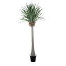 GloboStar® Artificial Garden BEAUCARNEA PALM TREE 20048 Τεχνητό Διακοσμητικό Φυτό Κυρτόφυλλος Μπουκαρνέα Υ250cm