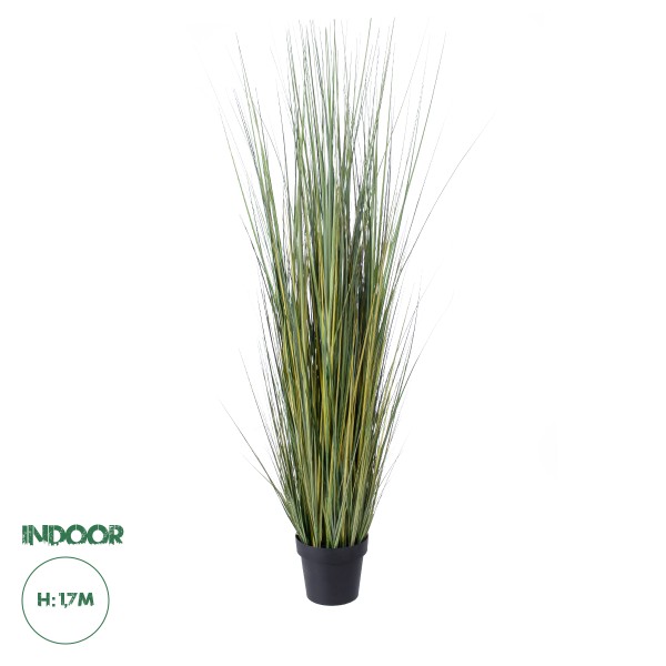 GloboStar® Artificial Garden PAMPAS GRASS 20072 Τεχνητό Διακοσμητικό Φυτό Γρασίδι της Πάμπας Υ170cm