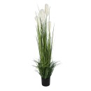 GloboStar® Artificial Garden PAMPAS GRASS 20106 Τεχνητό Διακοσμητικό Φυτό Γρασίδι της Πάμπας Υ150cm