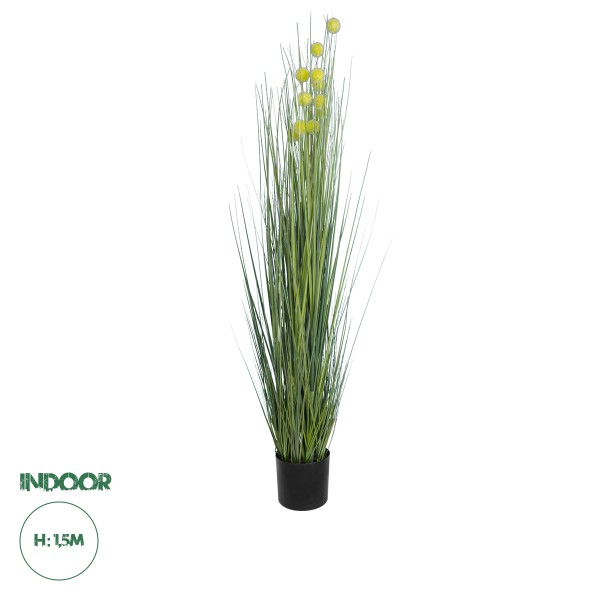 GloboStar® Artificial Garden CRASPEDIA GRASS 20112 Τεχνητό Διακοσμητικό Φυτό Κρασπέδια Υ150cm