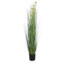 GloboStar® Artificial Garden CRASPEDIA GRASS 20112 Τεχνητό Διακοσμητικό Φυτό Κρασπέδια Υ150cm