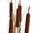 GloboStar® Artificial Garden TYPHA ANGUSTIFOLIA GRASS 20114 Τεχνητό Διακοσμητικό Φυτό Γρασίδι της Τύφας Υ150cm