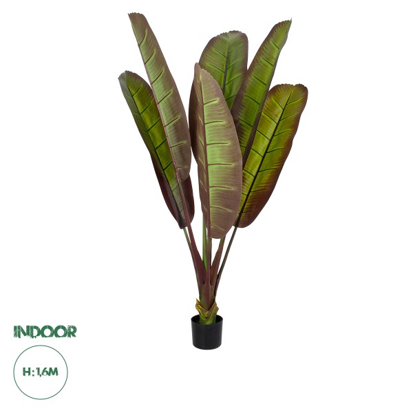 GloboStar® Artificial Garden BLOODY BANANA TREE 20117 Τεχνητό Διακοσμητικό Φυτό Αιματόφυλλη Μπανανιά - Μπανανόδεντρο Υ160cm