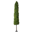 GloboStar® Artificial Garden BUXUS 20158 Τεχνητό Διακοσμητικό Φυτό Πυξός Υ250cm