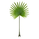 GloboStar® Artificial Garden SERENOA PALM LEAF 20172 Τεχνητό Διακοσμητικό Φύλο Φοινικόδεντρου Σερενόα Βεντάλια Π77 x Υ140cm