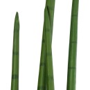 GloboStar® Artificial Garden SANSEVIERIA CYLINDRICA 20210 Τεχνητό Διακοσμητικό Φυτό Σανσεβιέρια Υ120cm