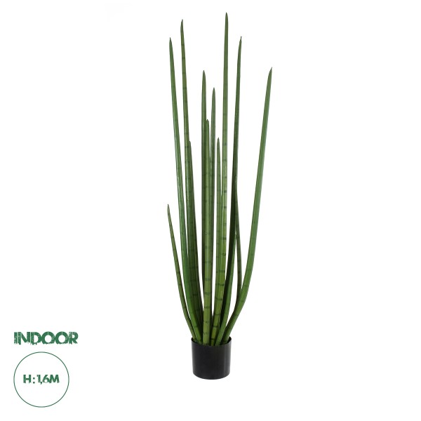 GloboStar® Artificial Garden SANSEVIERIA CYLINDRICA 20211 Τεχνητό Διακοσμητικό Φυτό Σανσεβιέρια Υ160cm