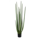 GloboStar® Artificial Garden SANSEVIERIA CYLINDRICA 20211 Τεχνητό Διακοσμητικό Φυτό Σανσεβιέρια Υ160cm