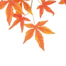 GloboStar® Artificial Garden MAPLE BRANCH 20230 10 x Τεχνητά Διακοσμητικά Κλαδία Σφένδαμου Π55 x Υ60cm