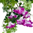 GloboStar® Artificial Garden MORNING GLORY HANGING BRANCH 20238 Τεχνητό Διακοσμητικό Κρεμαστό Φυτό Ιπομέα - Πρωϊνή Χαρά Υ60cm