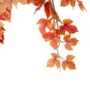 GloboStar® Artificial Garden MAPLE HANGING BRANCH 20243 Τεχνητό Διακοσμητικό Κρεμαστό Φυτό Σφένδαμος Υ80cm