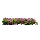 GloboStar® Artificial Garden CYPHEA HYSSOPIFOLIA 20350 Τεχνητό Διακοσμητικό Πάνελ Λουλουδιών - Κάθετος Κήπος σύνθεση Άνθος Κουφέας Μ50 x Π50 x Υ11cm