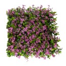 GloboStar® Artificial Garden CYPHEA HYSSOPIFOLIA 20350 Τεχνητό Διακοσμητικό Πάνελ Λουλουδιών - Κάθετος Κήπος σύνθεση Άνθος Κουφέας Μ50 x Π50 x Υ11cm