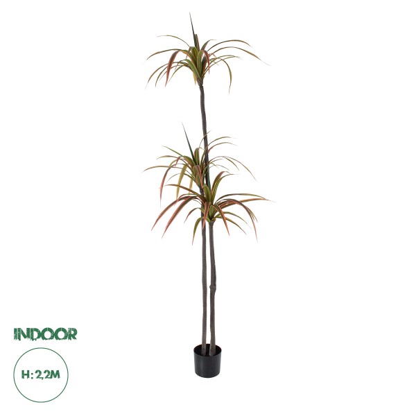 GloboStar® Artificial Garden DRAGON BLOOD TREE 20371 Τεχνητό Διακοσμητικό Φυτό Δράκαινα Υ220cm