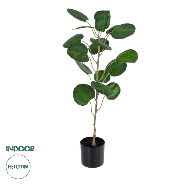 GloboStar® Artificial Garden POLYSCIAS BALFOURIANA TREE 20373 Τεχνητό Διακοσμητικό Φυτό Πολυσκιά Υ70cm