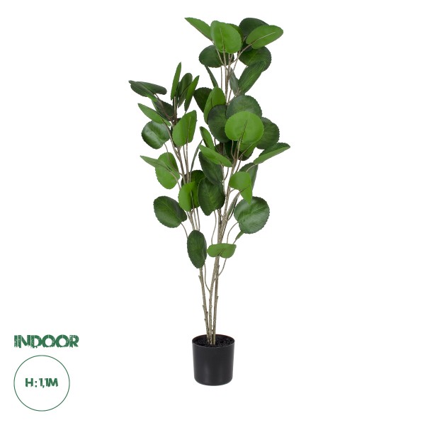 GloboStar® Artificial Garden POLYSCIAS BALFOURIANA TREE 20374 Τεχνητό Διακοσμητικό Φυτό Πολυσκιά Υ110cm