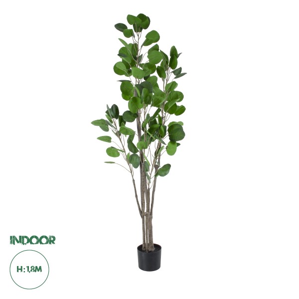 GloboStar® Artificial Garden POLYSCIAS BALFOURIANA TREE 20375 Τεχνητό Διακοσμητικό Φυτό Πολυσκιά Υ180cm