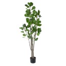 GloboStar® Artificial Garden POLYSCIAS BALFOURIANA TREE 20375 Τεχνητό Διακοσμητικό Φυτό Πολυσκιά Υ180cm