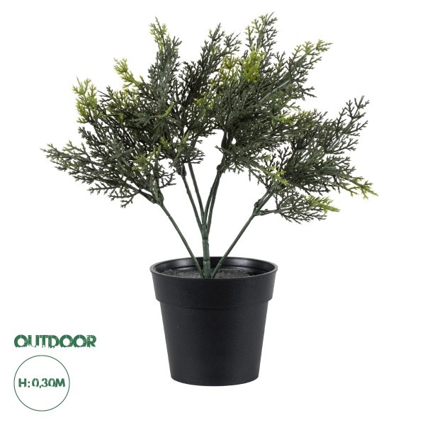 GloboStar® Artificial Garden LEMON CYPRESS 20389 Τεχνητό Διακοσμητικό Φυτό Λεμονόκυπάρισσο Υ30cm