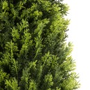 GloboStar® Artificial Garden CYPRESSUS SEMPERVIRENS 20393 Τεχνητό Διακοσμητικό Φυτό Μεσογειακό Κυπαρίσσι Υ90cm