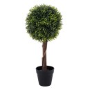 GloboStar® Artificial Garden MYRTUS 20398 Τεχνητό Διακοσμητικό Φυτό Φίκος Μυρτιά Υ60cm