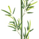 GloboStar® Artificial Garden BAMBOO BRANCH 20439 Τεχνητό Διακοσμητικό Κλαδί Μπαμπού Υ200cm