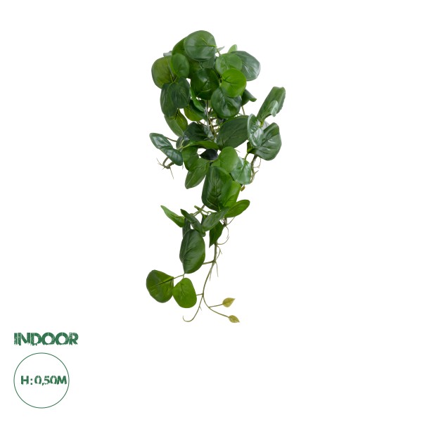 GloboStar® Artificial Garden HANGING PEPEROMIA 20599 Τεχνητό Διακοσμητικό Κρεμαστό Φυτό Πεπερόμια Μ30 x Π31 x Υ50cm