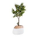 GloboStar® Artificial Garden PANDORA 20705 Επιδαπέδιο Πολυεστερικό Τσιμεντένιο Κασπώ Γλάστρα - Flower Pot Λευκό με Καφέ Μ60 x Π55 x Υ43cm