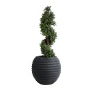 GloboStar® Artificial Garden ILAEIRA 20713 Επιδαπέδιο Πολυεστερικό Τσιμεντένιο Κασπώ Γλάστρα - Flower Pot Μαύρο Φ58 x Υ53cm