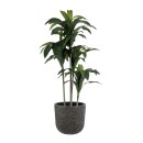 GloboStar® Artificial Garden LUCCA 20756 Επιδαπέδιο Πολυεστερικό Τσιμεντένιο Κασπώ Γλάστρα - Flower Pot Καφέ Φ31 x Υ28cm