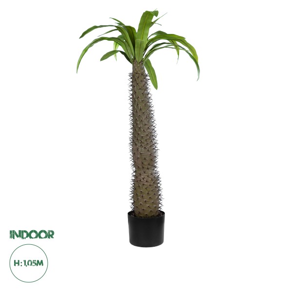 GloboStar® Artificial Garden PACHYPODIUM LAMEREI PALM TREE 20129 Τεχνητό Διακοσμητικό Φυτό Φοίνικας της Μαγαδασκάρης Υ105cm