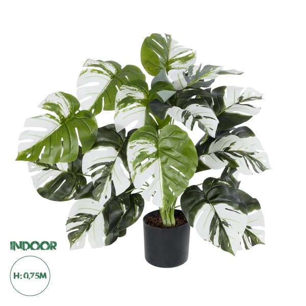 GloboStar® Artificial Garden ALBINO MONSTERA 20925 Διακοσμητικό Φυτό Λευκή Μονστέρα Υ75cm