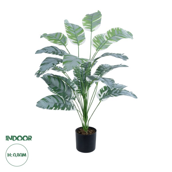 GloboStar® Artificial Garden BANANA ZEBRA 20919 Διακοσμητικό Φυτό Μπανανιά Ζέβρα Υ80cm