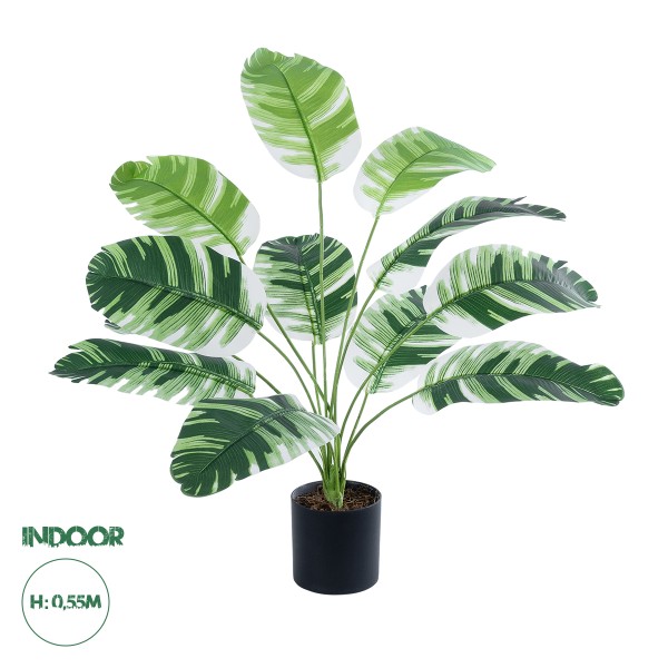 GloboStar® Artificial Garden BANANA ZEBRA 20929 Διακοσμητικό Φυτό Μπανανιά Ζέβρα Υ55cm