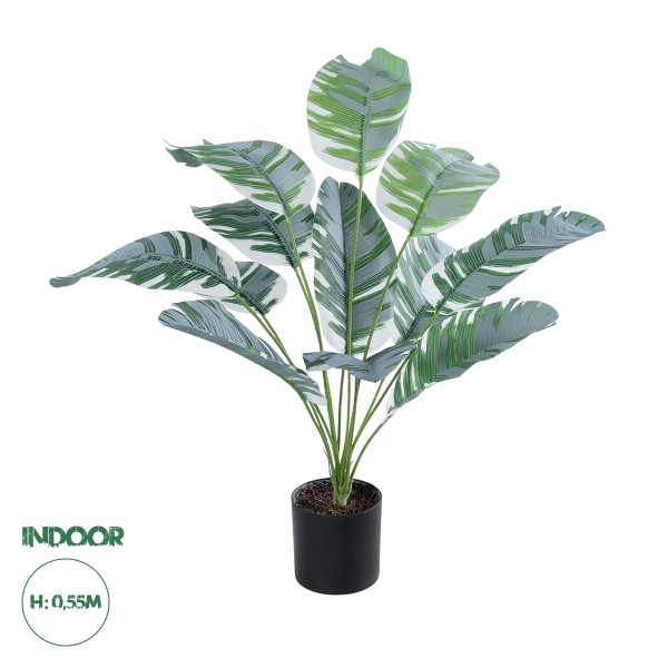 GloboStar® Artificial Garden BANANA ZEBRA 20930 Διακοσμητικό Φυτό Μπανανιά Ζέβρα Υ55cm