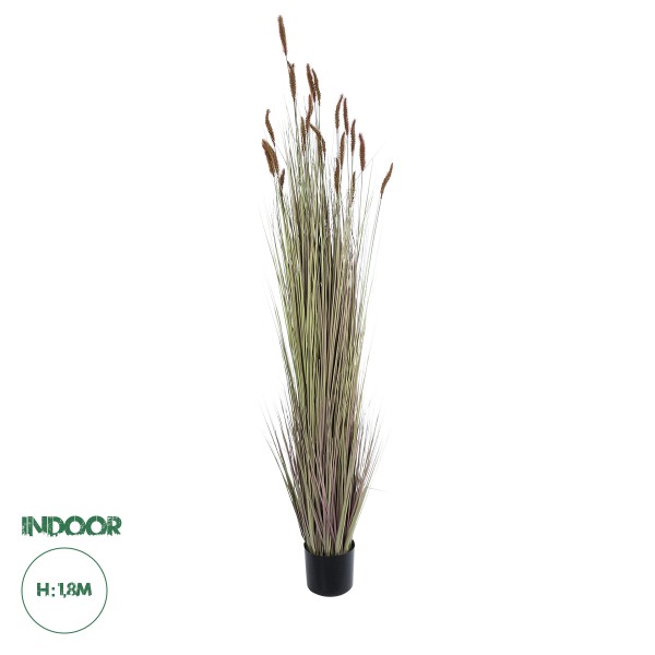 GloboStar® Artificial Garden BROWN LAGURUS 21103 Διακοσμητικό Φυτό Καφέ Λαγοουρά Υ180cm