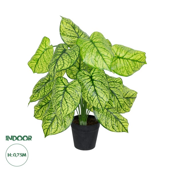 GloboStar® Artificial Garden CALADIUM 20913 Διακοσμητικό Φυτό Καλάντιουμ Υ75cm