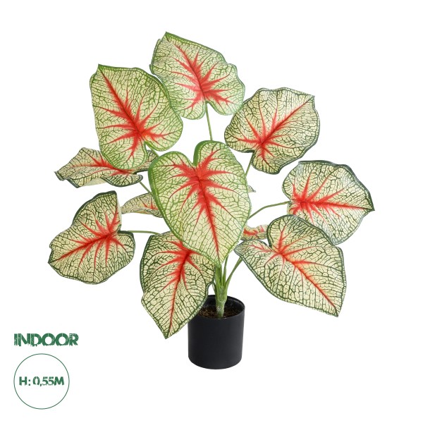 GloboStar® Artificial Garden CALADIUM 20932 Διακοσμητικό Φυτό Καλάντιουμ Υ55cm