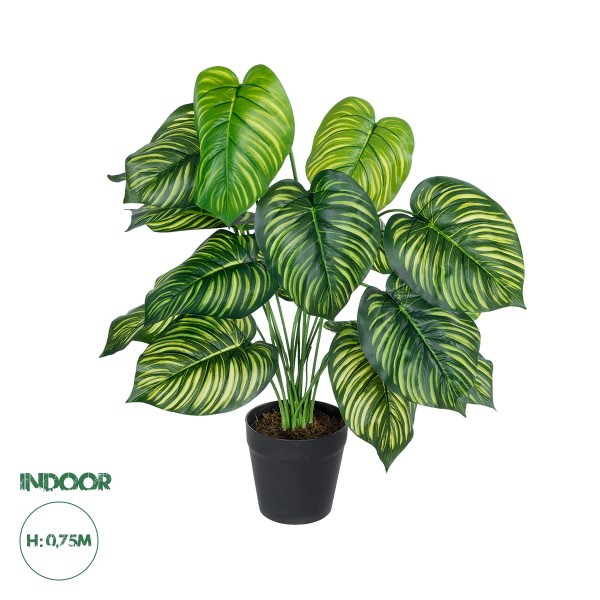 GloboStar® Artificial Garden CALATHEA 20912 Διακοσμητικό Φυτό Καλαθέα Υ75cm