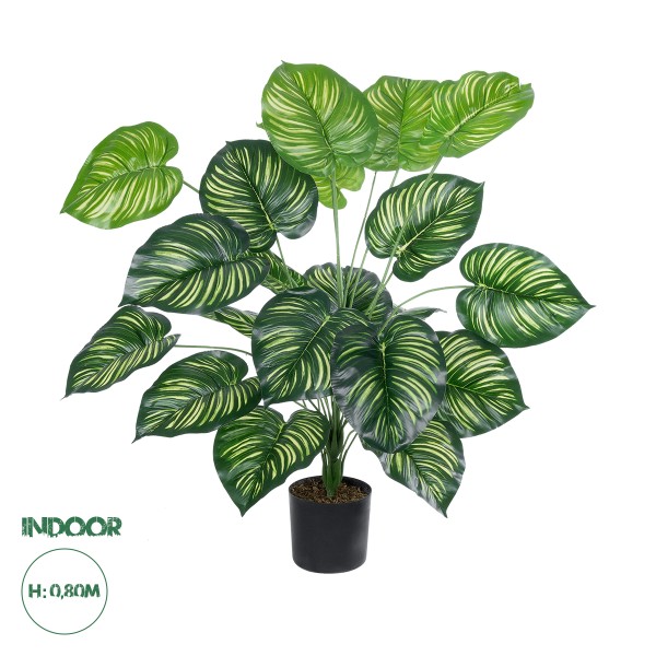 GloboStar® Artificial Garden CALATHEA 20922 Διακοσμητικό Φυτό Καλαθέα Υ80cm