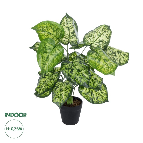 GloboStar® Artificial Garden DIEFFENBACHIA 20914 Διακοσμητικό Φυτό Υ75cm