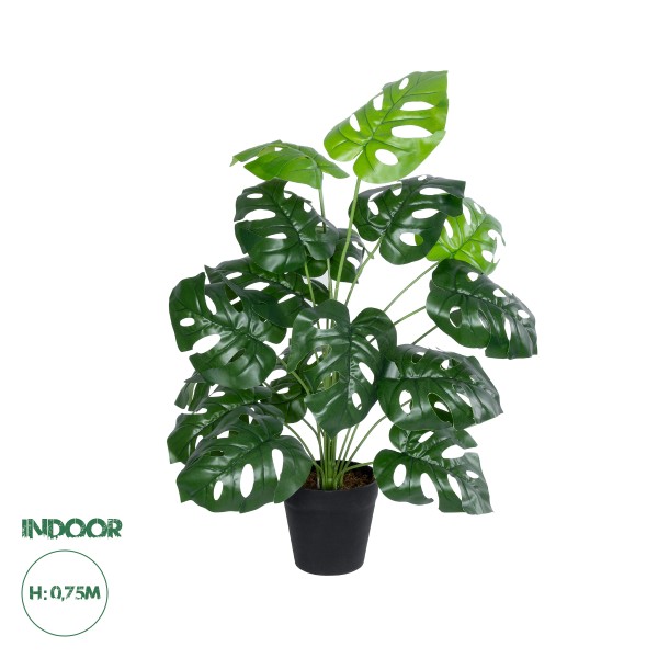 GloboStar® Artificial Garden MONSTERA 20909 Διακοσμητικό Φυτό Μονστέρα Υ75cm