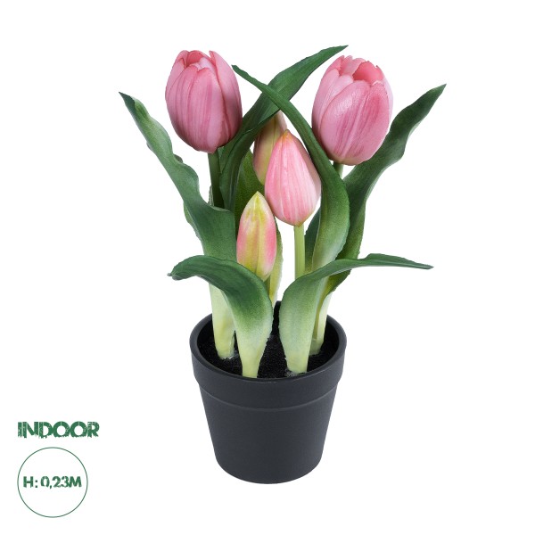 GloboStar® Artificial Garden PINK TULIP 21092 Διακοσμητικό Φυτό Ροζ Τουλίπα Υ23cm